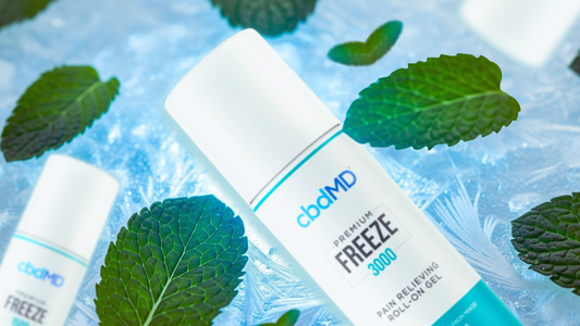 A Deep Dive into cbdMD Freeze: How It May Support Muscle & Joint Wellness