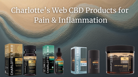 Top 5 Charlotte’s Web CBD Products for Pain & Inflammation