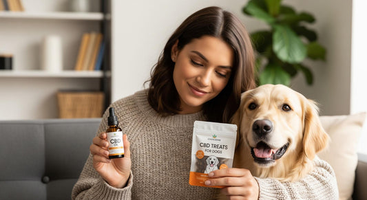 CBD Dog Treats vs. CBD Oil: Which Is Best for Your Canine Companion?