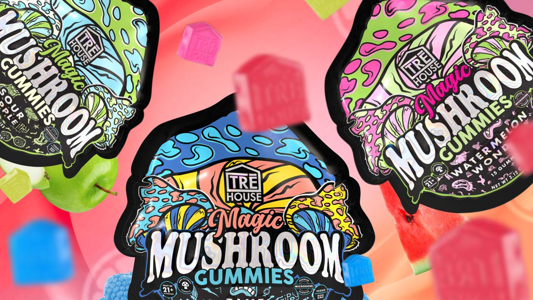 Are Magic Mushroom Gummies Legit? What You Should Know Before Buying