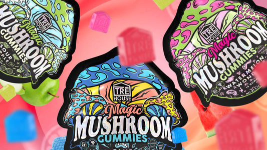 Are Magic Mushroom Gummies Legit? What You Should Know Before Buying