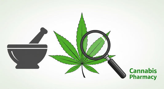 A Guide to the Most Popular High-THCA Strains