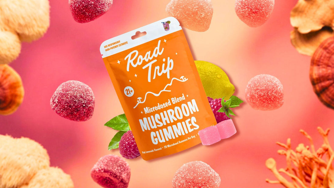 How Functional Mushroom Gummies May Support Brain Health and Cognition