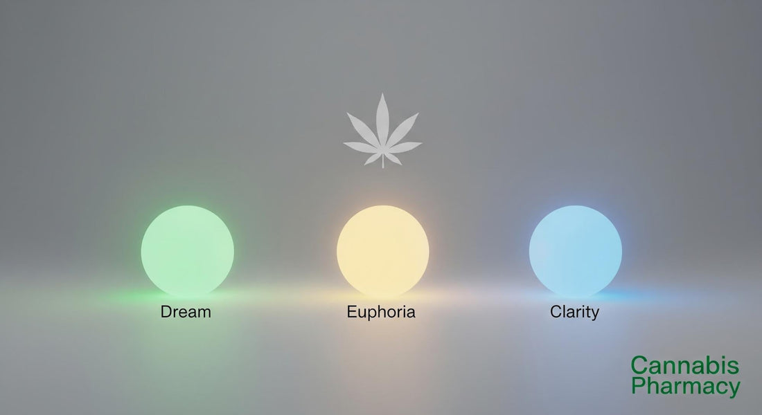 A Guide to Mellow Fellow’s Dream, Euphoria & Clarity Blends