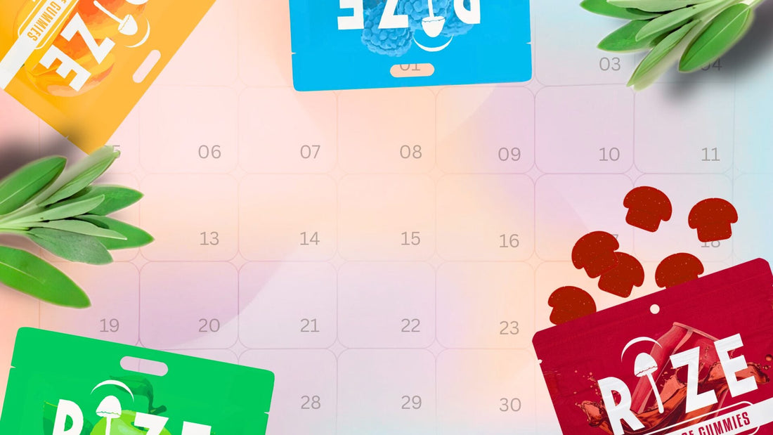 Taking Functional Mushroom Gummies Daily: Your 30-Day Wellness Journey