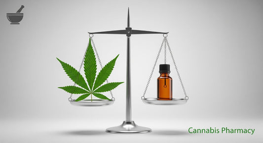 THCA vs. CBD: Which Cannabinoid is Right for You?