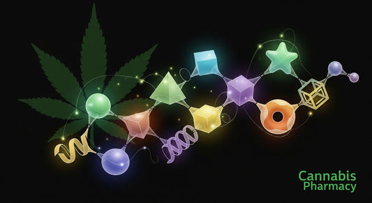 THCP & the Entourage Effect: How Cannabinoids Work