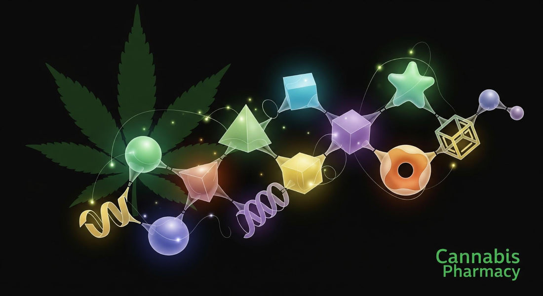 THCP & the Entourage Effect: How Cannabinoids Work