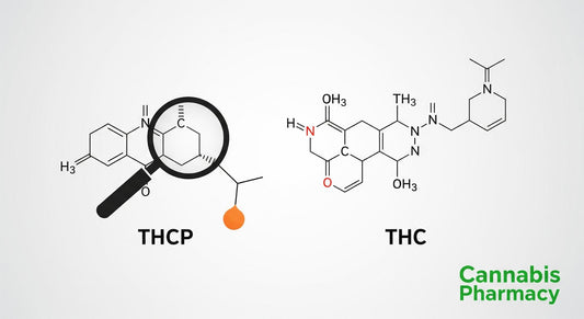 The Potency of THCP: A Scientific Deep Dive
