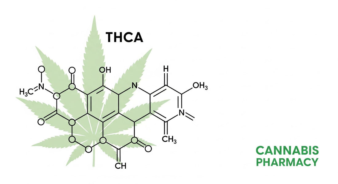 The Science of THCA: From Biosynthesis to Bioavailability