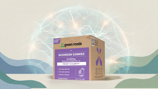 Unlock Your Brain’s Potential: A Complete Guide to Mushroom Gummies for Cognitive Support