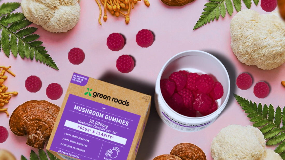 Unlocking Nature’s Potential: Why Mushroom Gummies are Soaring in Wellness Popularity
