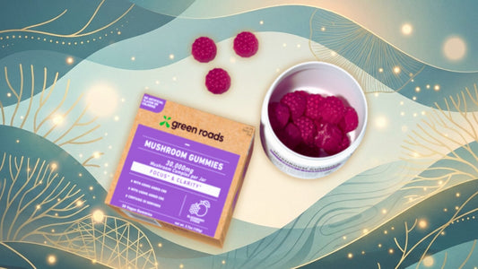 Discover Who Can Benefit Most from Daily Functional Mushroom Gummies