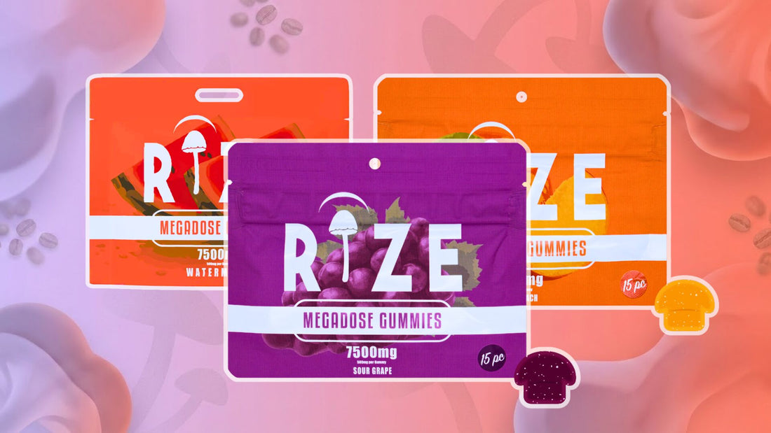 Why Functional Mushroom Gummies Offer a Clean Energy Alternative to Caffeine