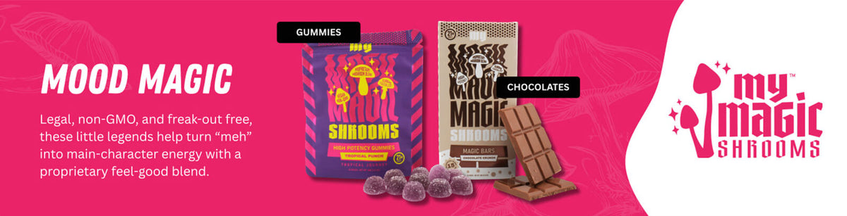 My Magic Shrooms mushroom gummies and adaptogen chocolate bars for mood, focus, and everyday wellness.