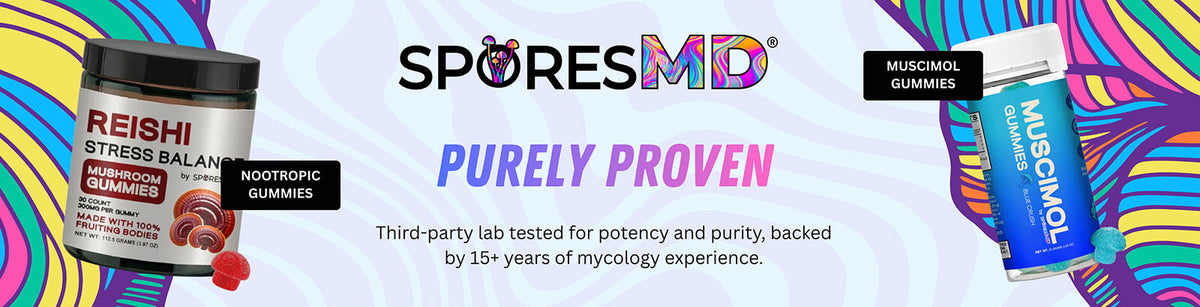Spores MD nootropic gummies and muscimol gummies for mood, focus, and feel-good support.