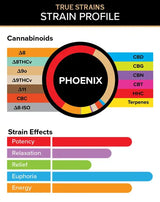 3CHI | True Strain THC Vape Pod – Phoenix | Sativa – 2g Disposable Vape Pod – Pods Truestrains Graph