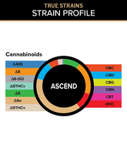 3CHI True Strains Ascend gummies cannabinoid breakdown chart with a color-coded ring and labeled cannabinoid legend.