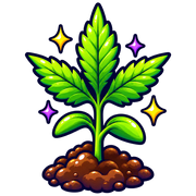 Organic Hemp Source