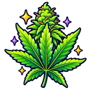 Organic Hemp