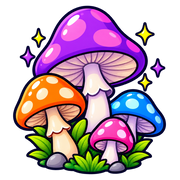 Five Functional Mushrooms