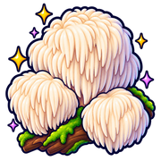 Lion's Mane and Reishi