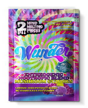 Front of 2ct Grape Mushroom Gummies with Kava package featuring bold grape-inspired artwork with sleek, modern design