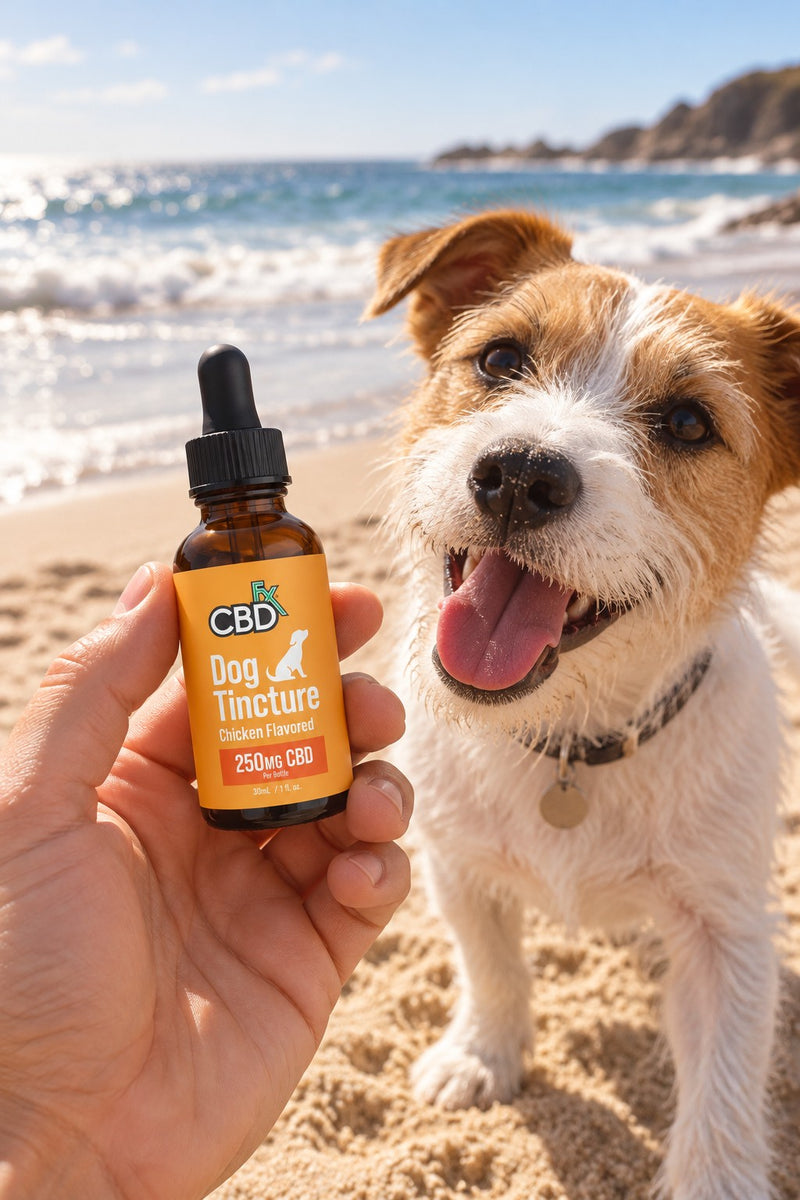 Calm mornings, happy joints, wagging tails