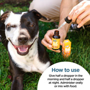 CBDfx CBD Oil For Dogs - Chicken Flavored - 250 to 2000mg