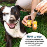 CBDfx CBD Oil For Dogs - Chicken Flavored - 250 to 2000mg