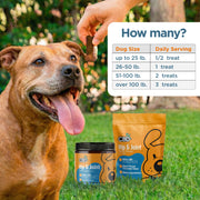 CBDfx CBD Dog Treats: Hip & Joint Chews 