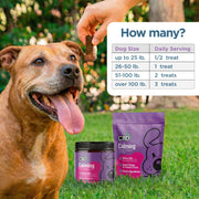 Dog with a treat, CBD Calming product packaging, and serving guide on a grassy background
