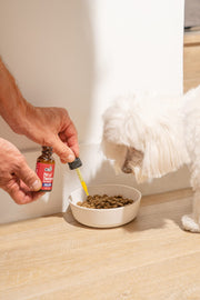 CBDfx | CBD Dog Tincture | 500mg CBD 30mL – lifestyle photo