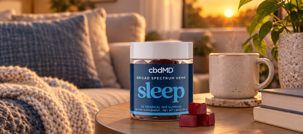Bedtime, wind-down, lights out.