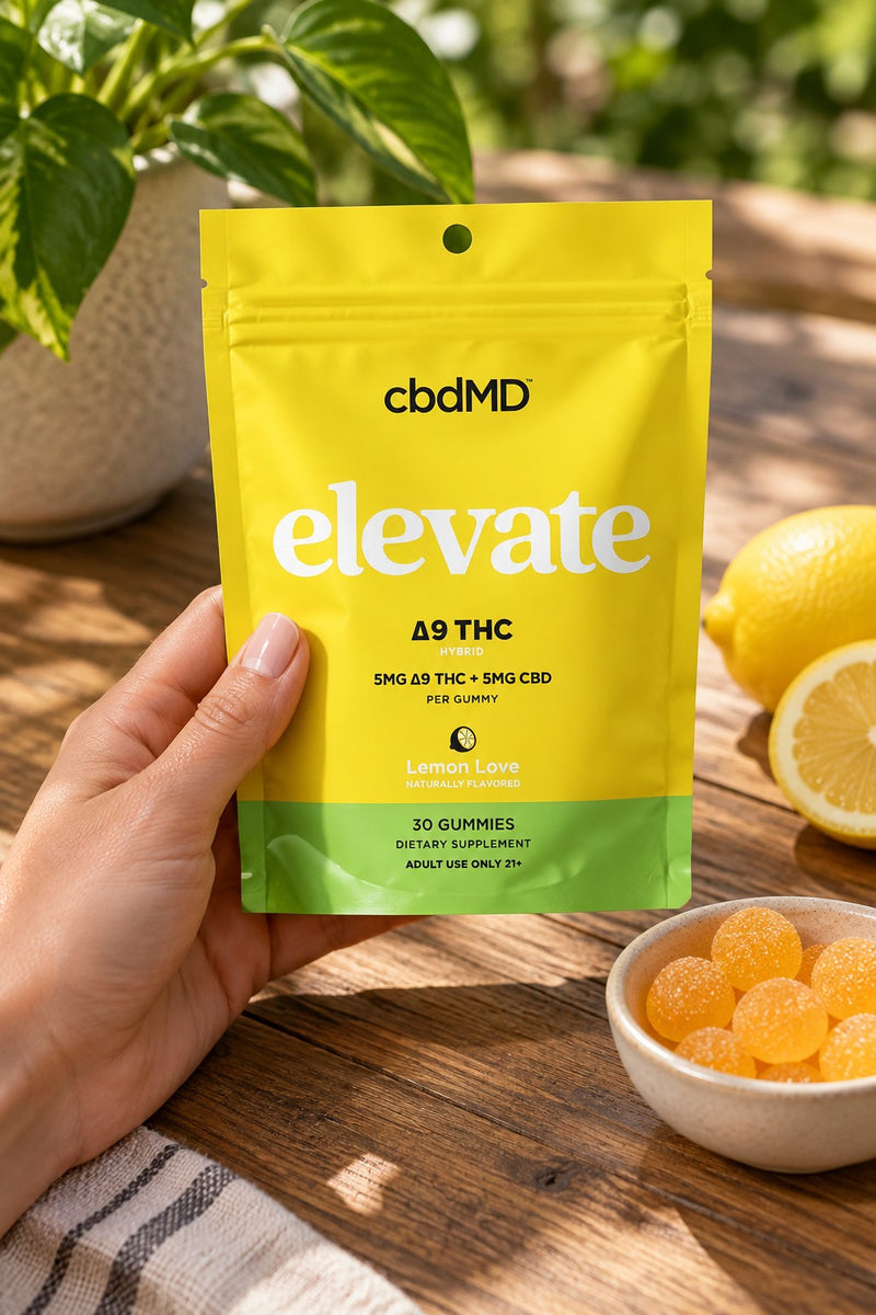 Everyday clarity, gently elevated.