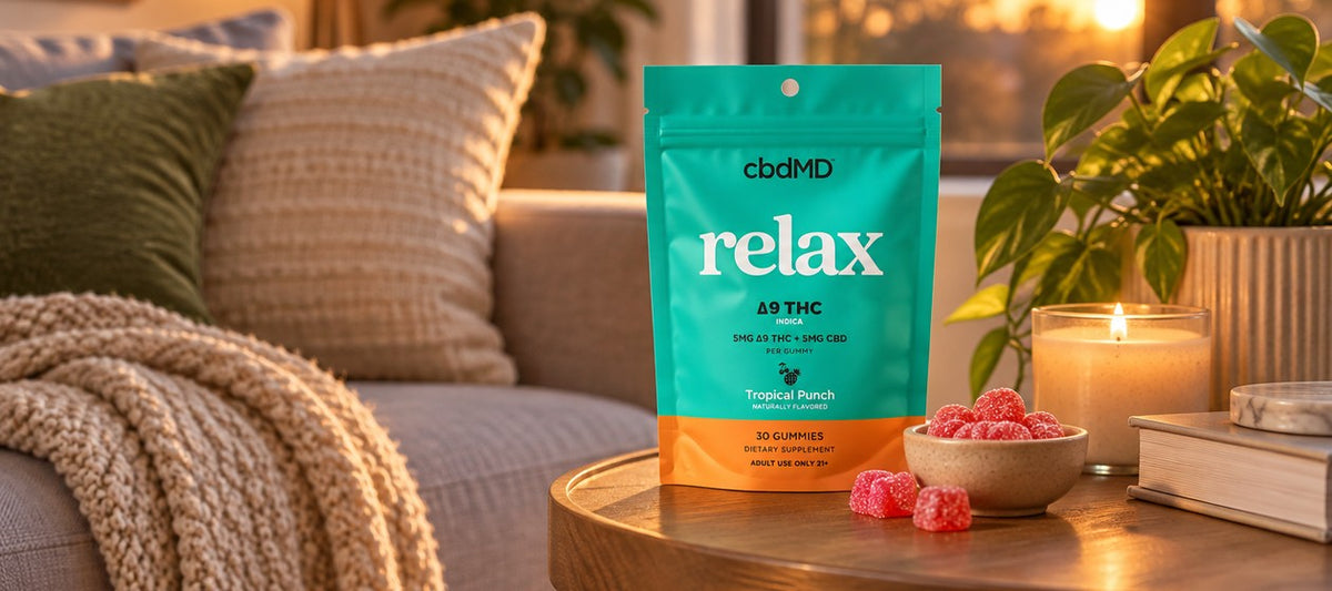Everyday clarity, gently elevated.