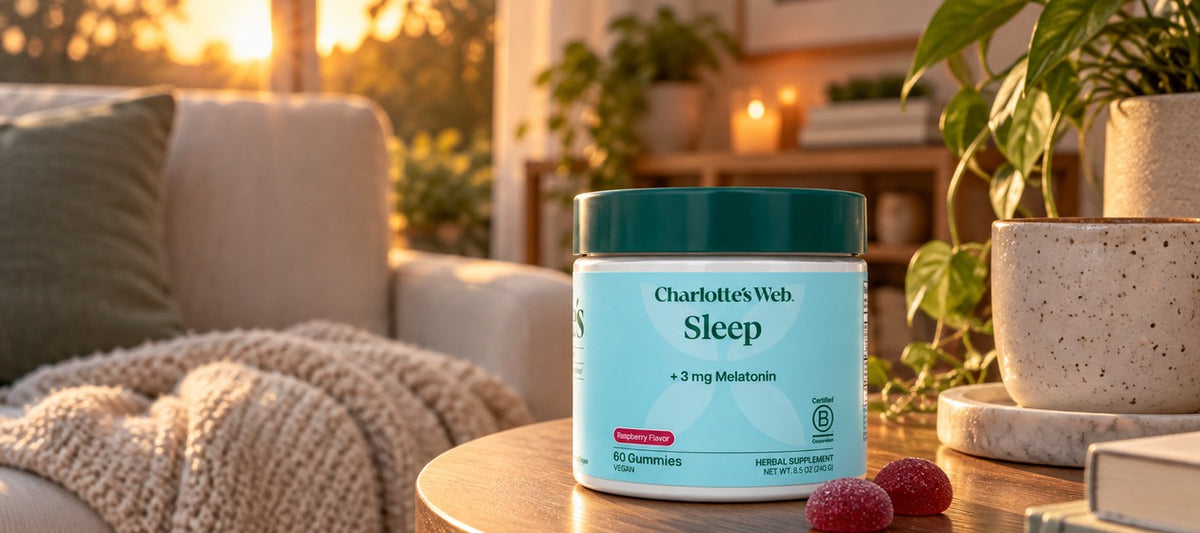 Bedtime routines, restless nights, quiet evenings.