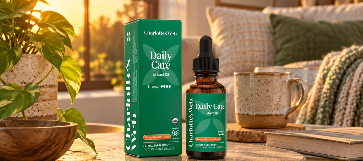 Daily routine, post-workout recovery, everyday calm