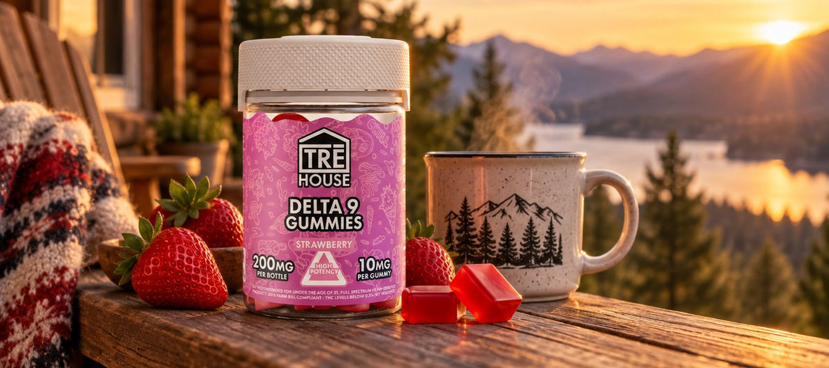 Relax at home or on the go
