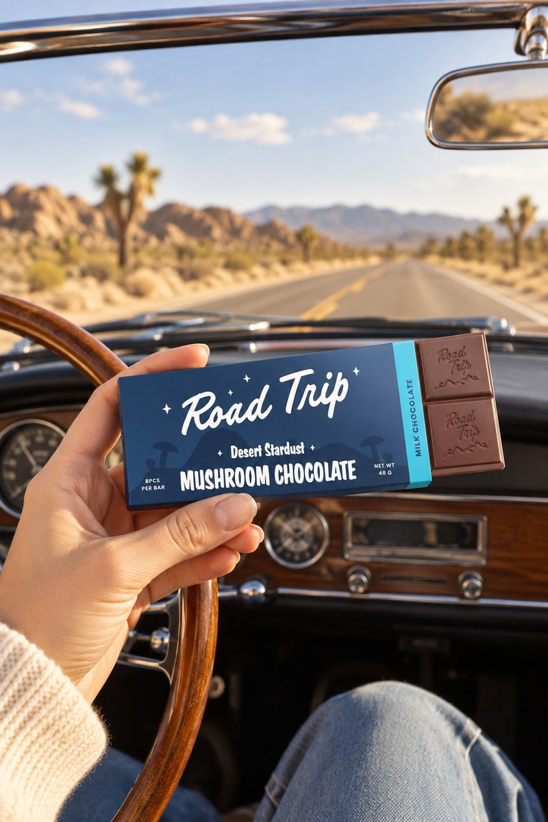 Open road, open mind, full control
