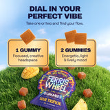 Ferris Wheel Sour Tropical graphic comparing one gummy for focus and creativity with two for an energetic mood.