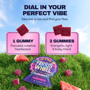 Ferris Wheel Watermelon graphic comparing one gummy for focus and creativity with two for an energetic mood.