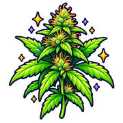 Organic Hemp