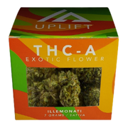 Uplift 7 Gram Exotic THCA Flower Illemonati - Sativa