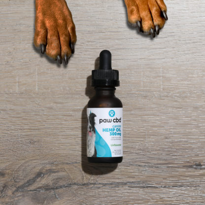 Paw CBD Oil Tincture For Dogs 300mg Lifestyle Shot