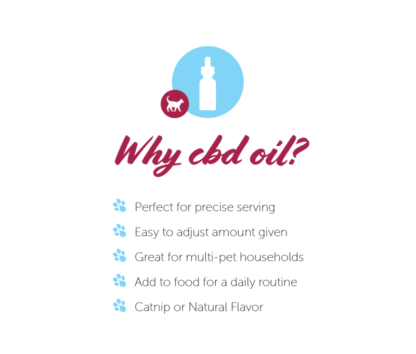 Paw CBD Catnip Flavored Oil For Cats Infographic