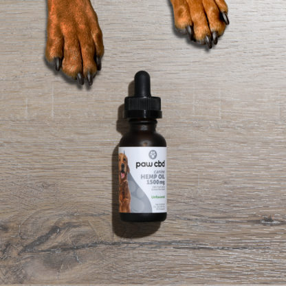 Paw CBD Oil Tincture For Dogs 1500mg Lifestyle Shot