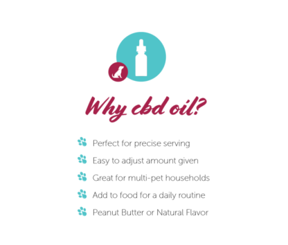Paw CBD Oil Tincture For Dogs Infographic