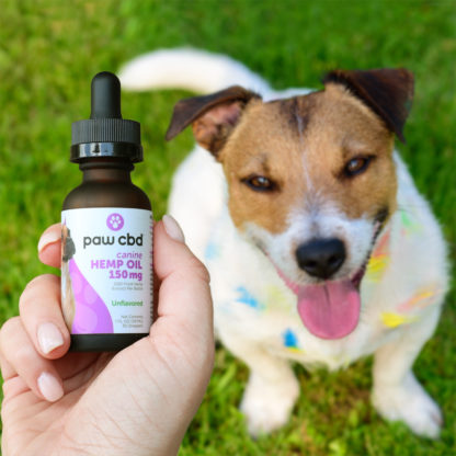 Paw CBD Oil Tincture For Dogs 150mg Lifestyle Shot