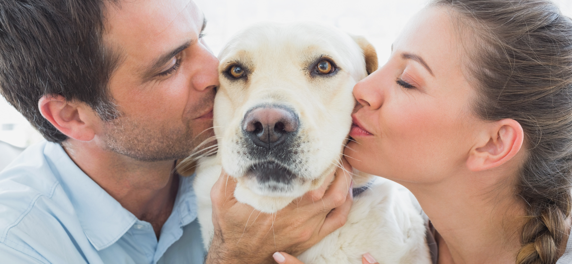You Wouldn’t Buy Your Family Member Second-Rate CBD – Demand the Best for Your Furry BFF